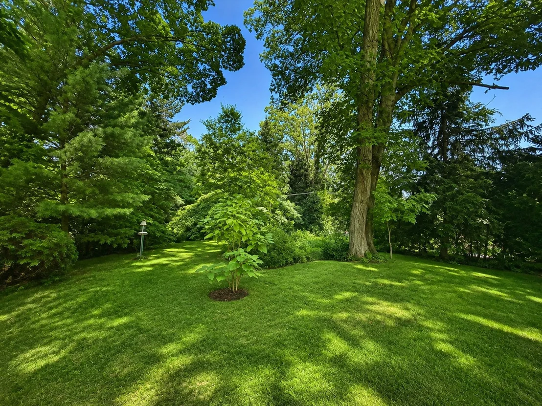 Photo of 2811 FOREST Lane