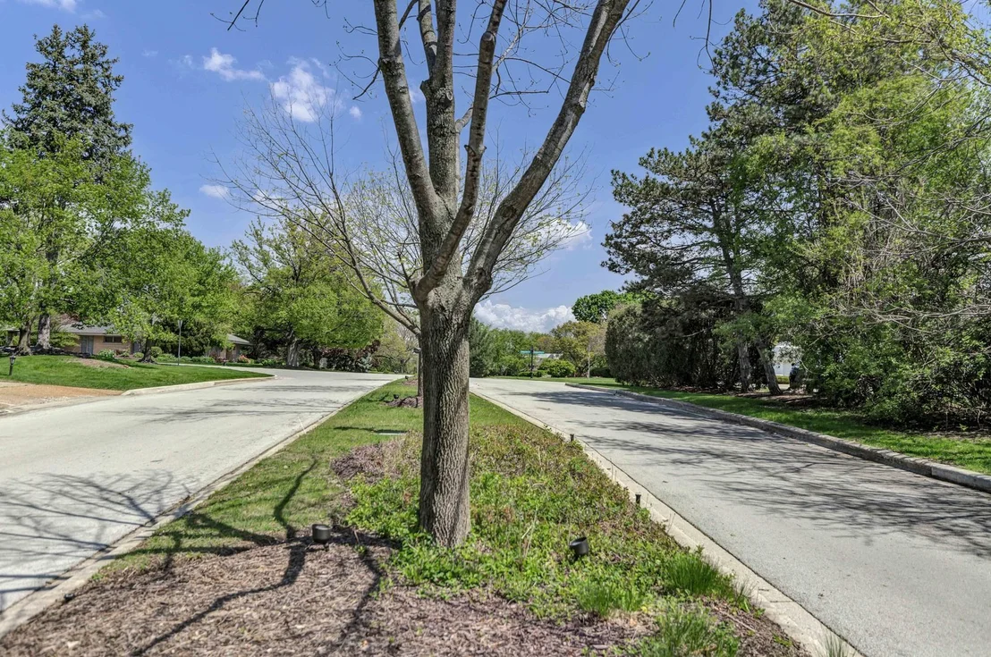 Photo of 46 Kingston Drive