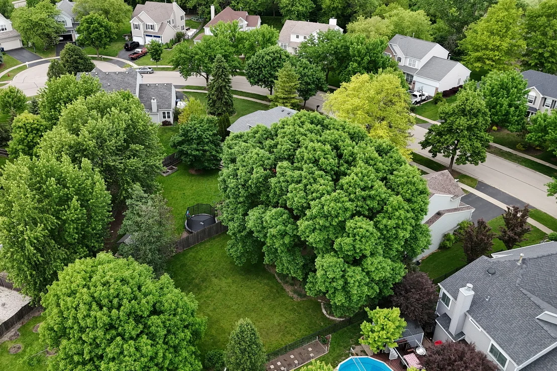 Photo of 1211 Laurel Lane