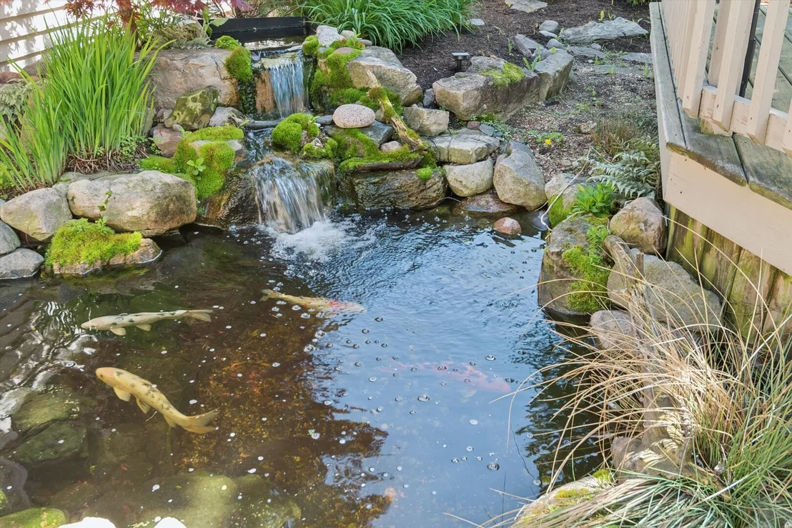 Photo of 5324 Clover Drive