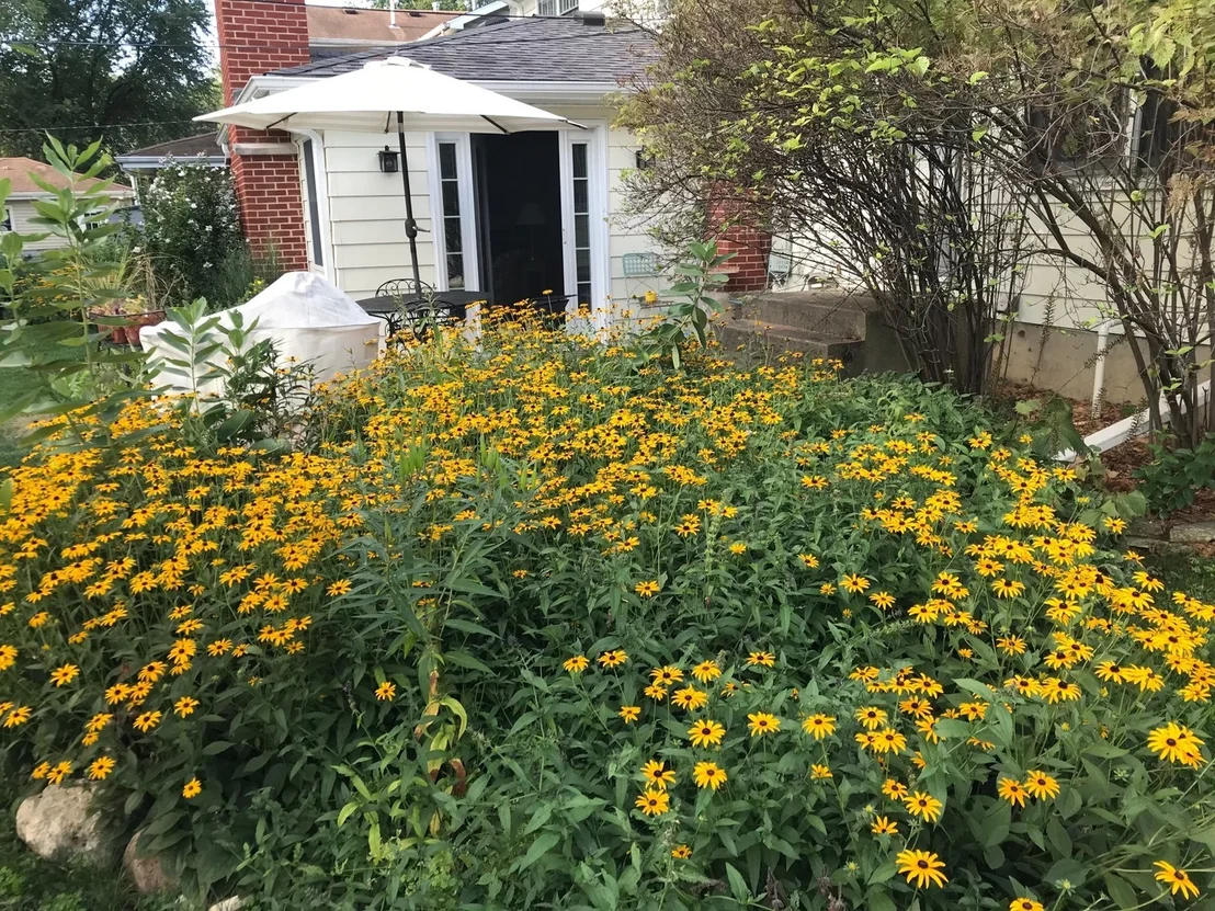 Photo of 447 Tennyson Road