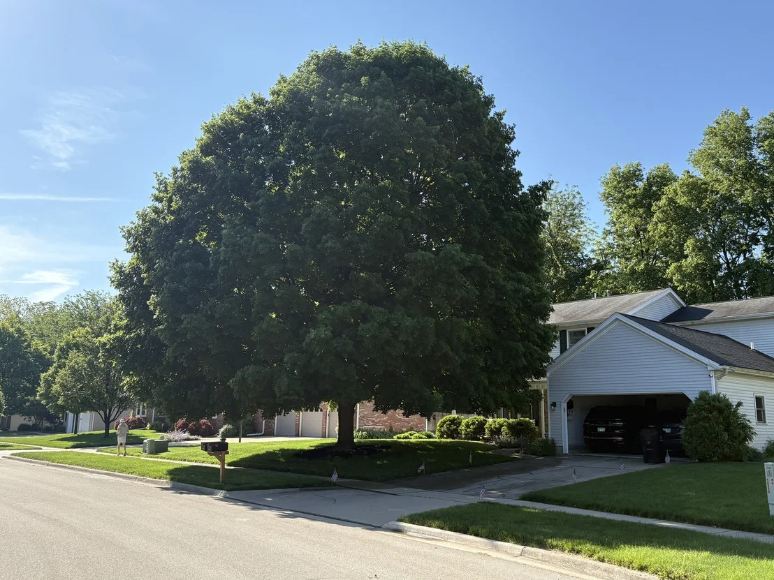 Photo of 1512 Steeplechase Drive