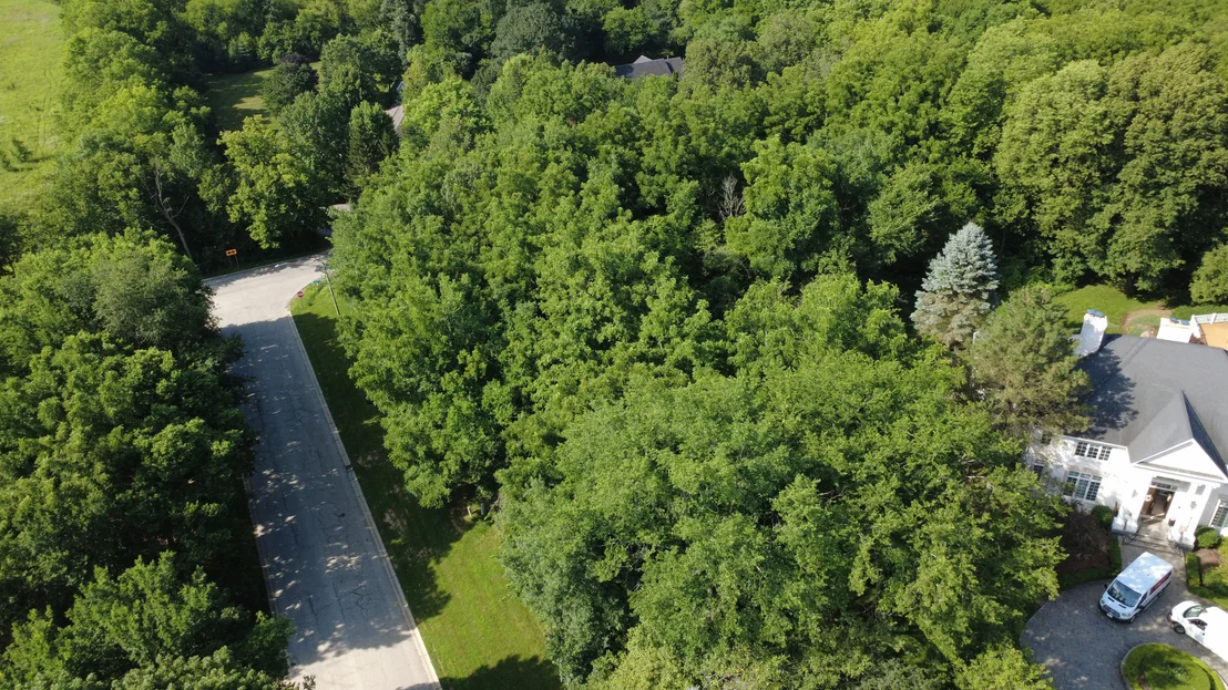 Photo of Lot 1 Ware Woods Drive