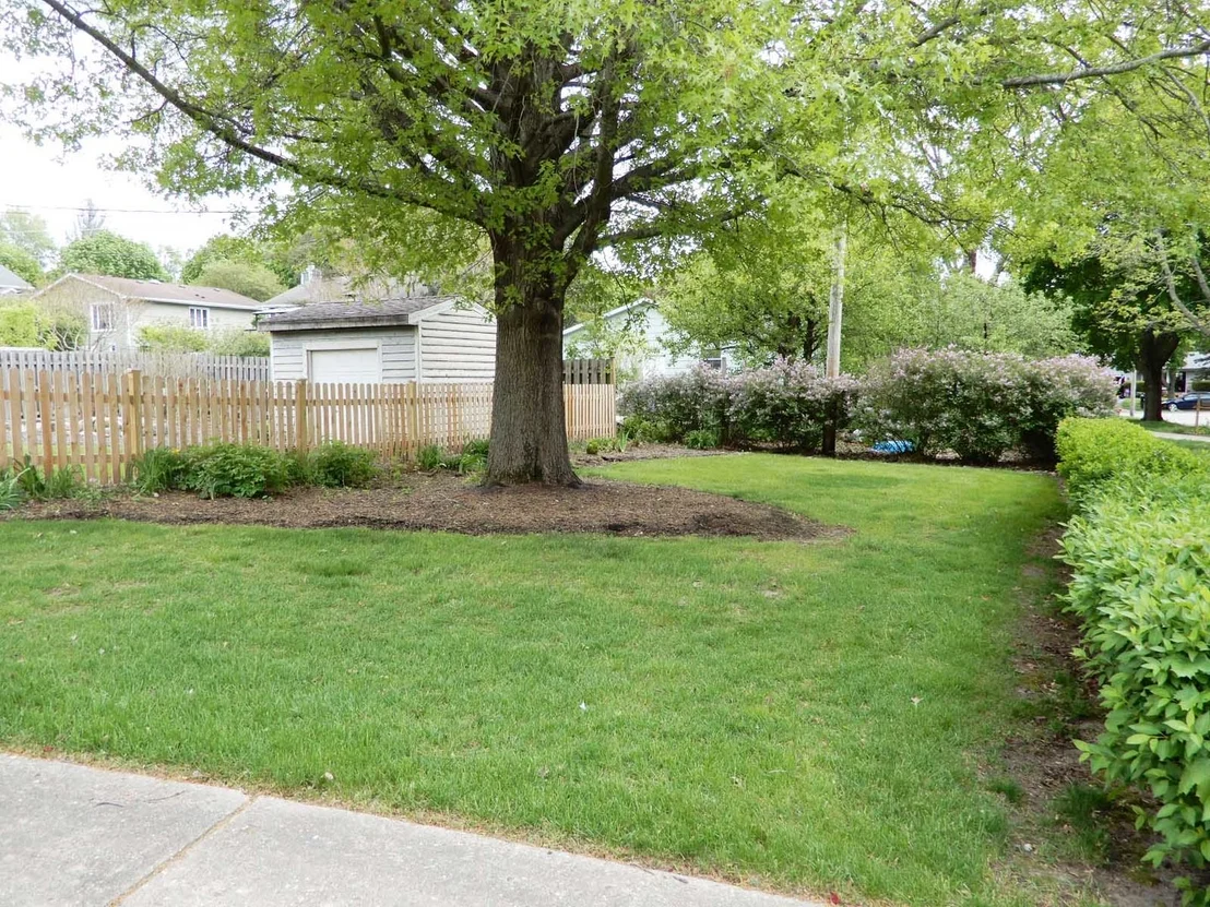 Photo of 62 Alice Street