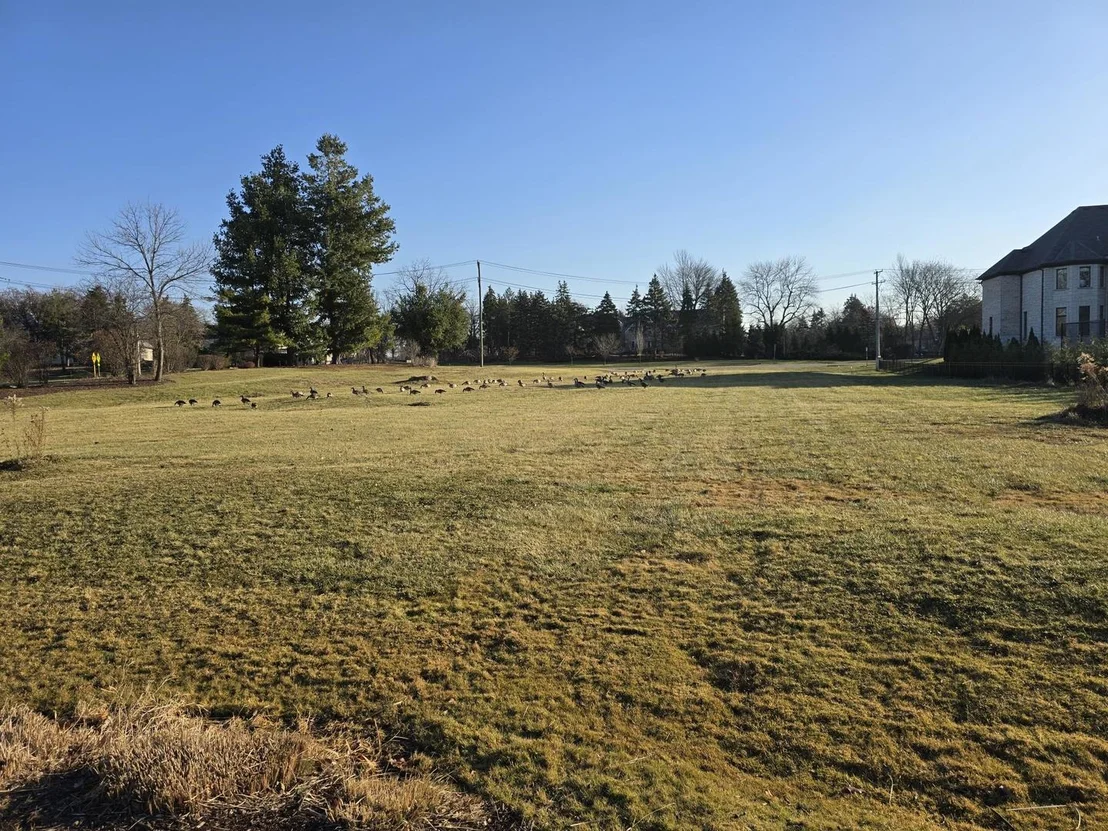 Photo of 3504 York Road