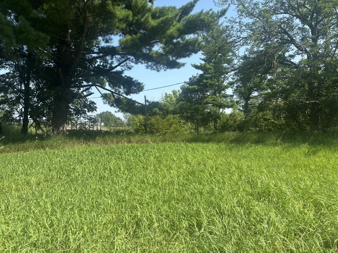 Photo of 1866 Tanglewood Drive