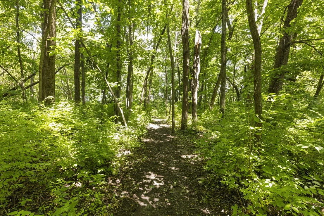 Photo of 7479 Grove Road