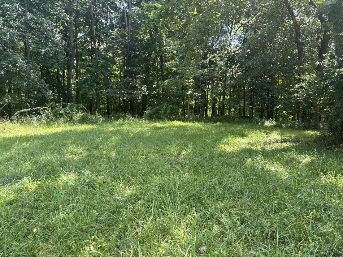 Photo of 1720 Tanglewood Drive