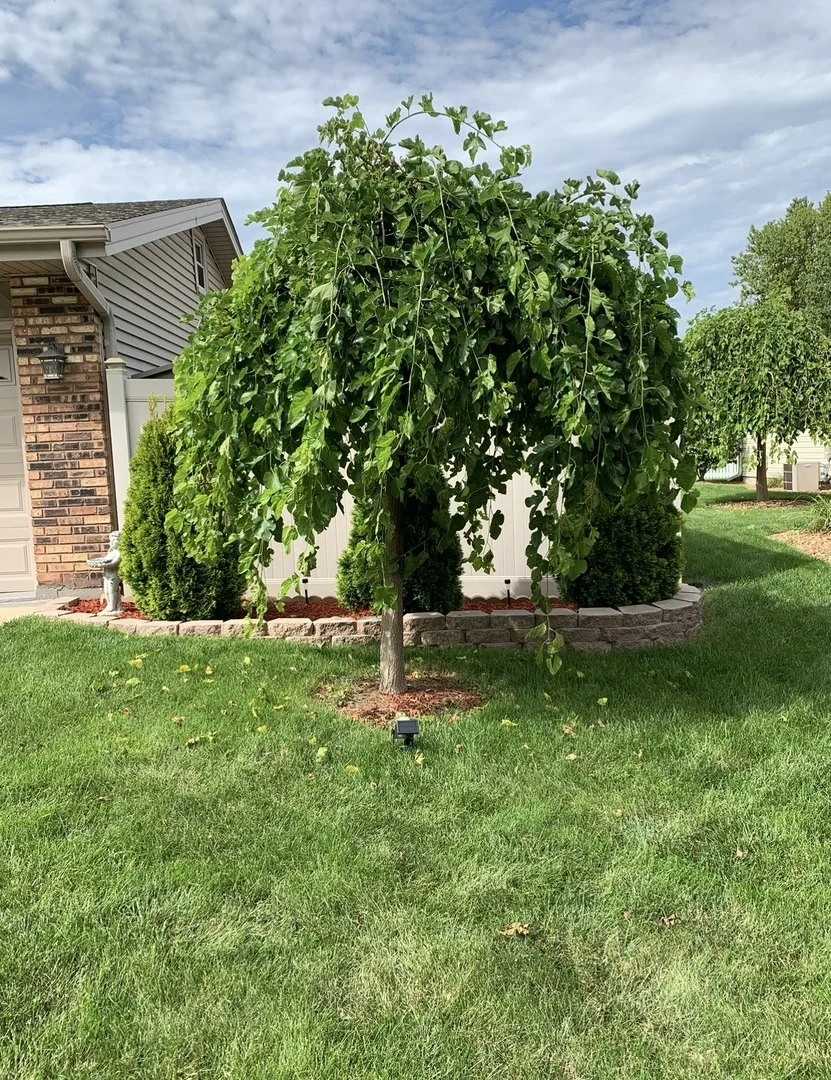 Photo of 856 Quail Drive