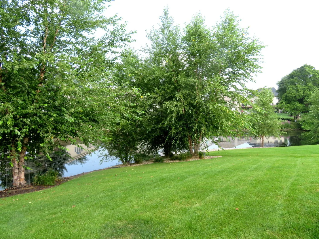Photo of 1428 Lakeside Lane
