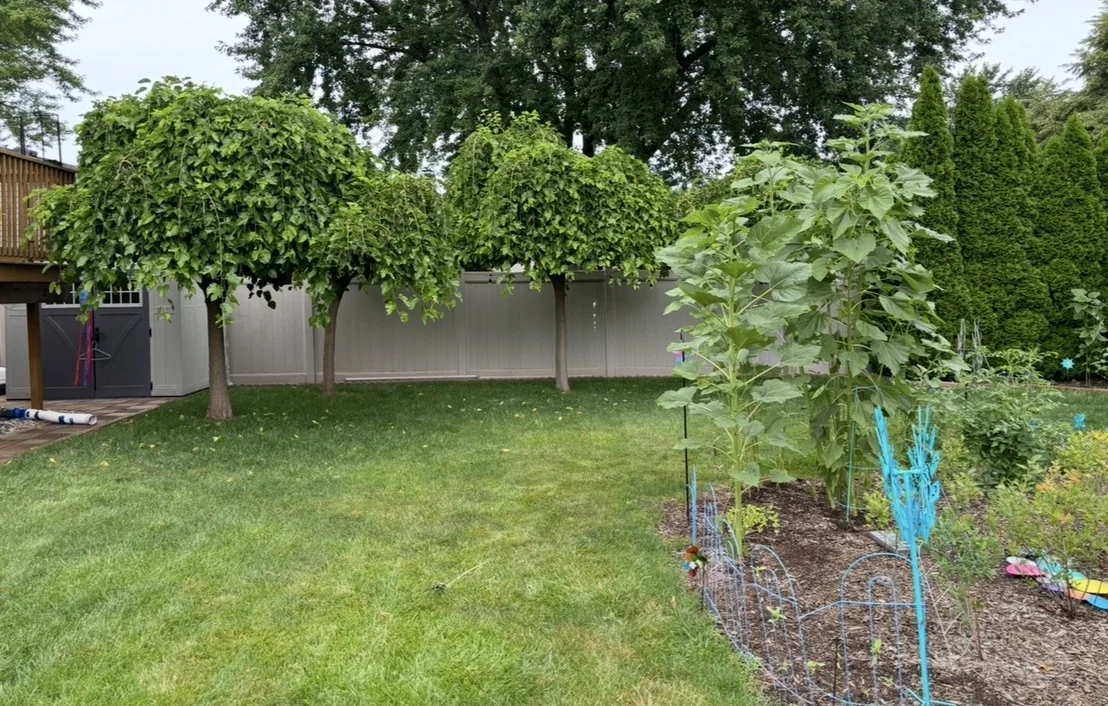 Photo of 856 Quail Drive