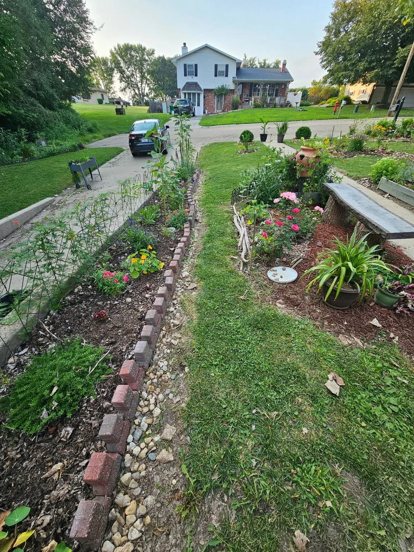 Photo of 319 Luce Street