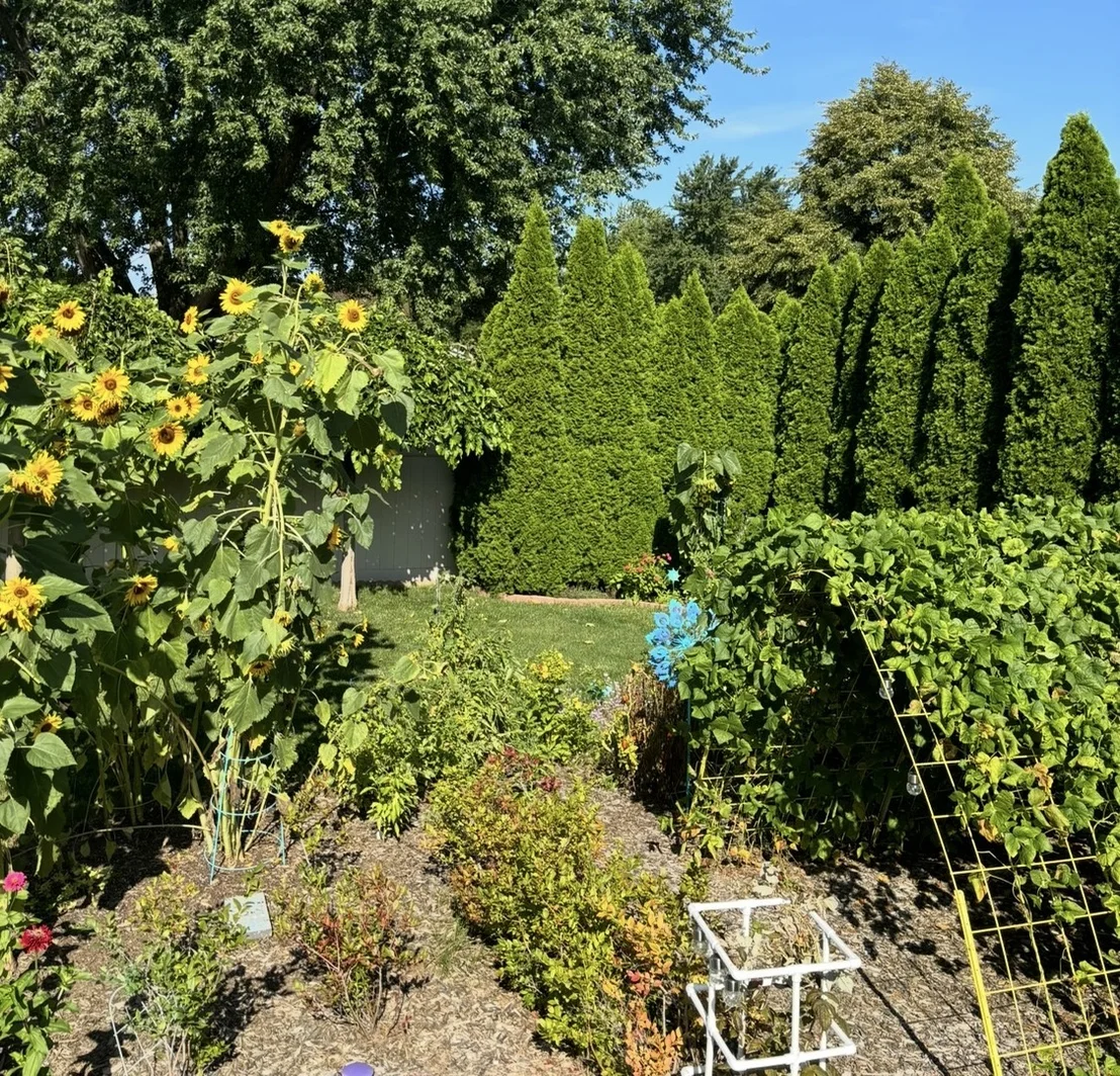Photo of 856 Quail Drive