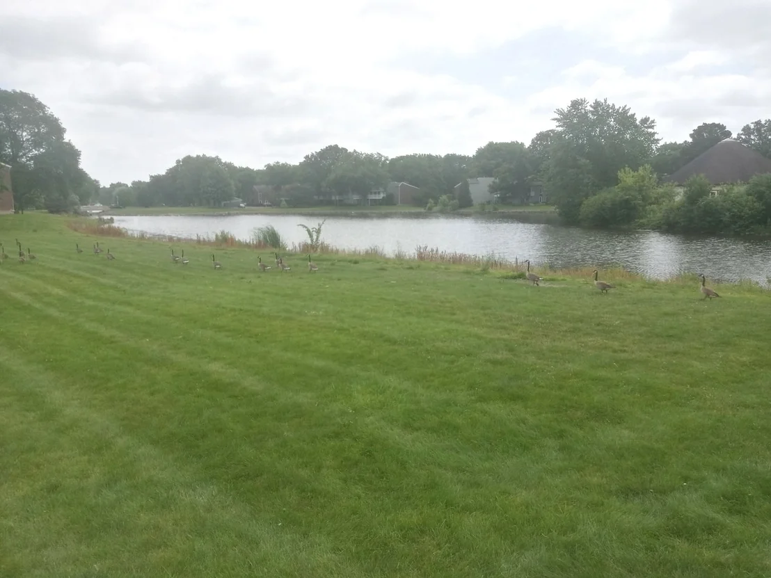 Photo of Unit D1 at 1480 Stonebridge Circle