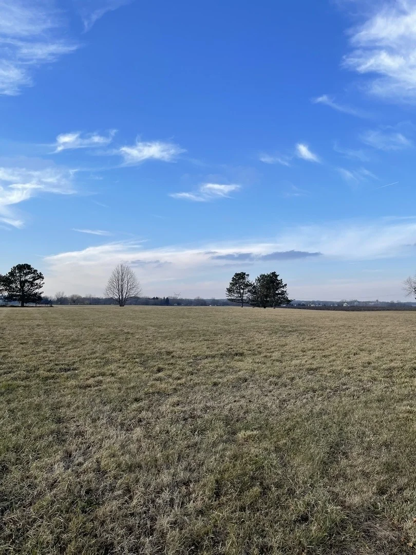 Photo of 17408 Wildflower Circle