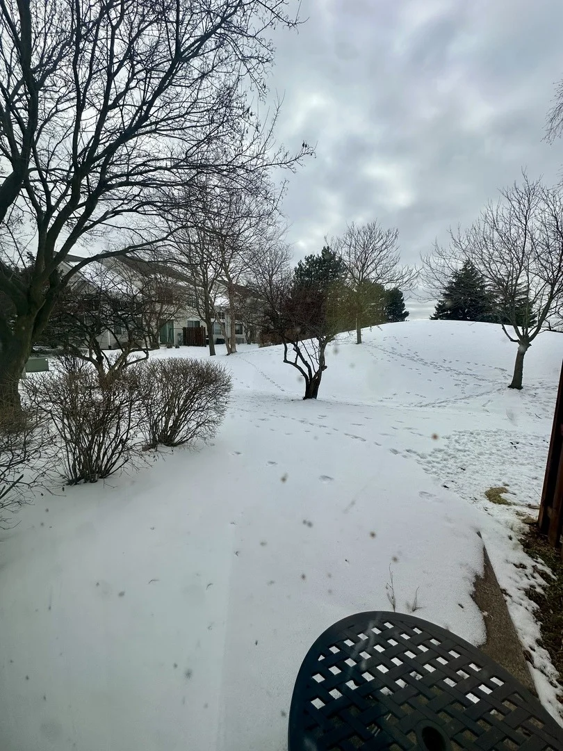 Photo of 2267 Briar Court