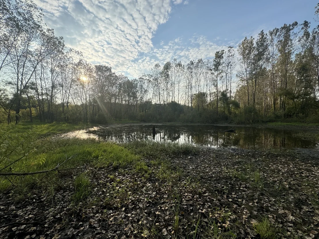 Photo of 39155 N Dilleys Road