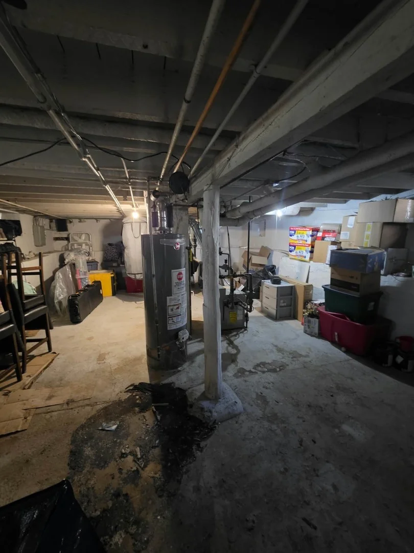 Photo of 554 Bangs Street