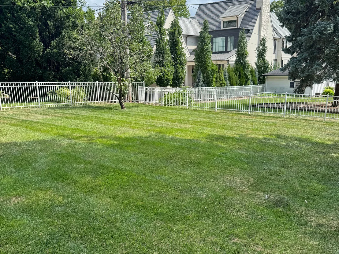Photo of 312 Douglas Avenue