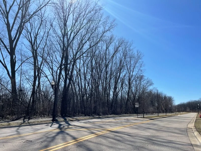 Photo of 003 South Street