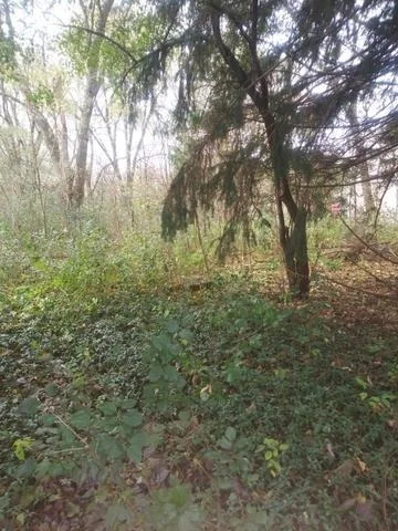 Photo of 36088 N Fairfield Road