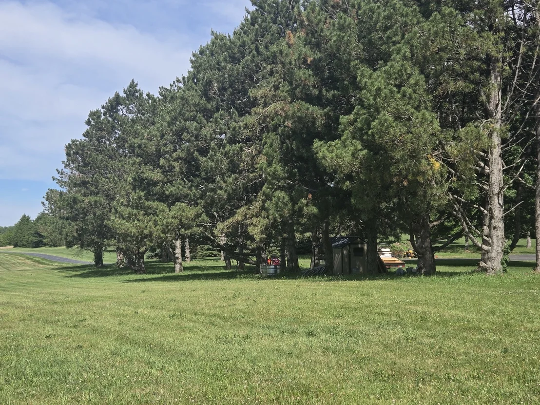 Photo of 17823 Haas Road