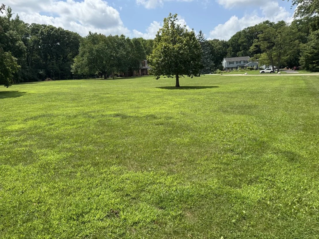 Photo of 8N Cheviot Drive