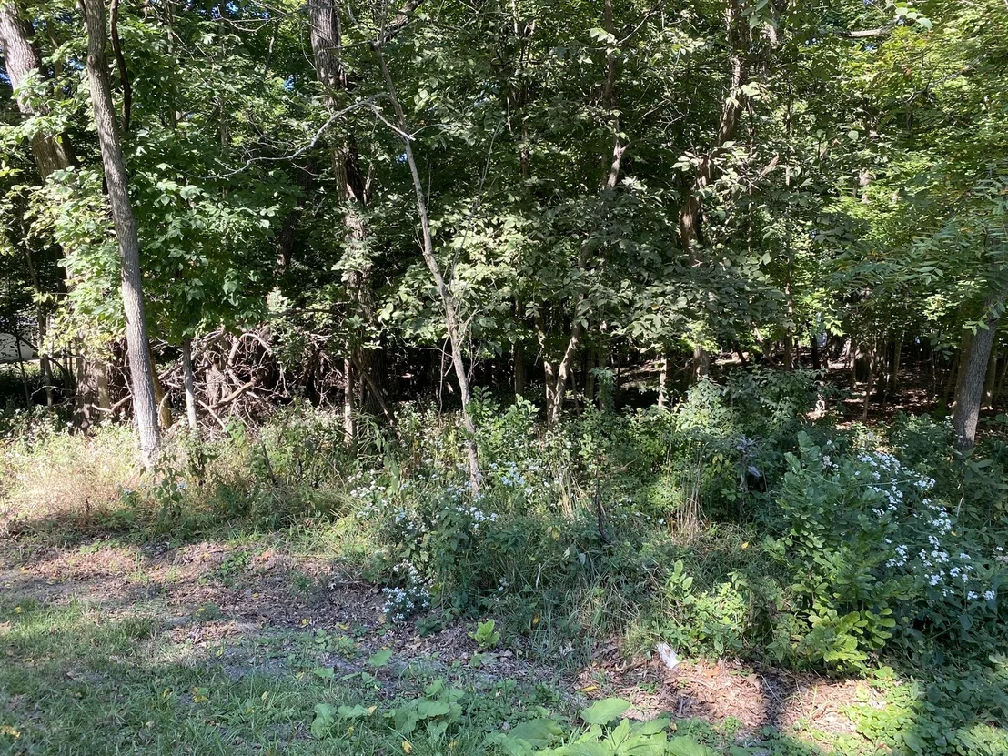 Photo of 1105 Jay Court