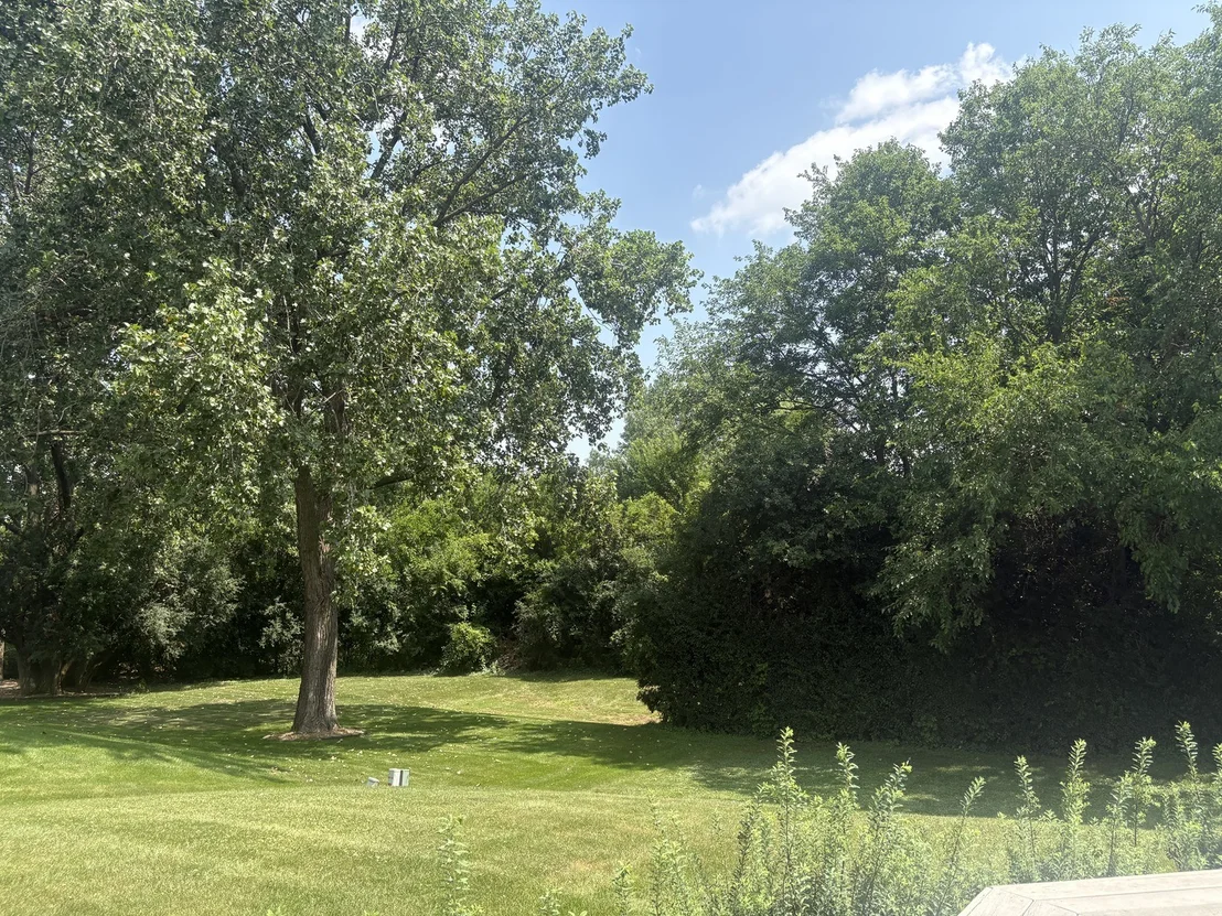 Photo of 629 Sequoia Lane