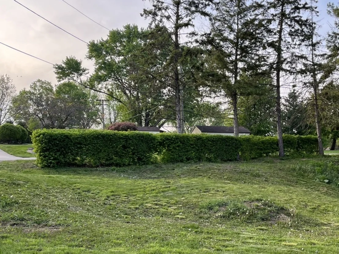 Photo of 17 E Lyncliff Drive
