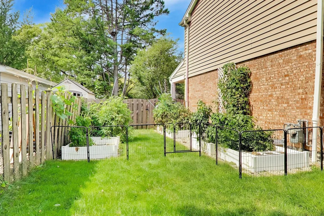 Photo of 3331 Maple Leaf Drive