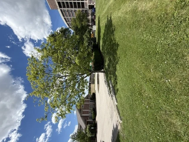 Photo of 00 Uno Circle