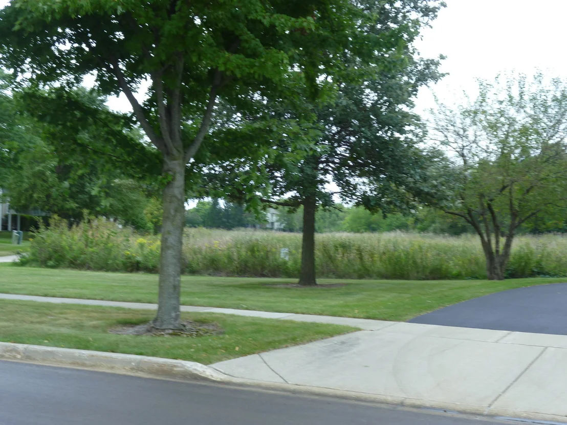 Photo of 2632 Loren Lane