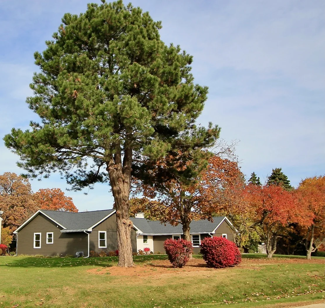 Photo of 42W668 Steeplechase Drive