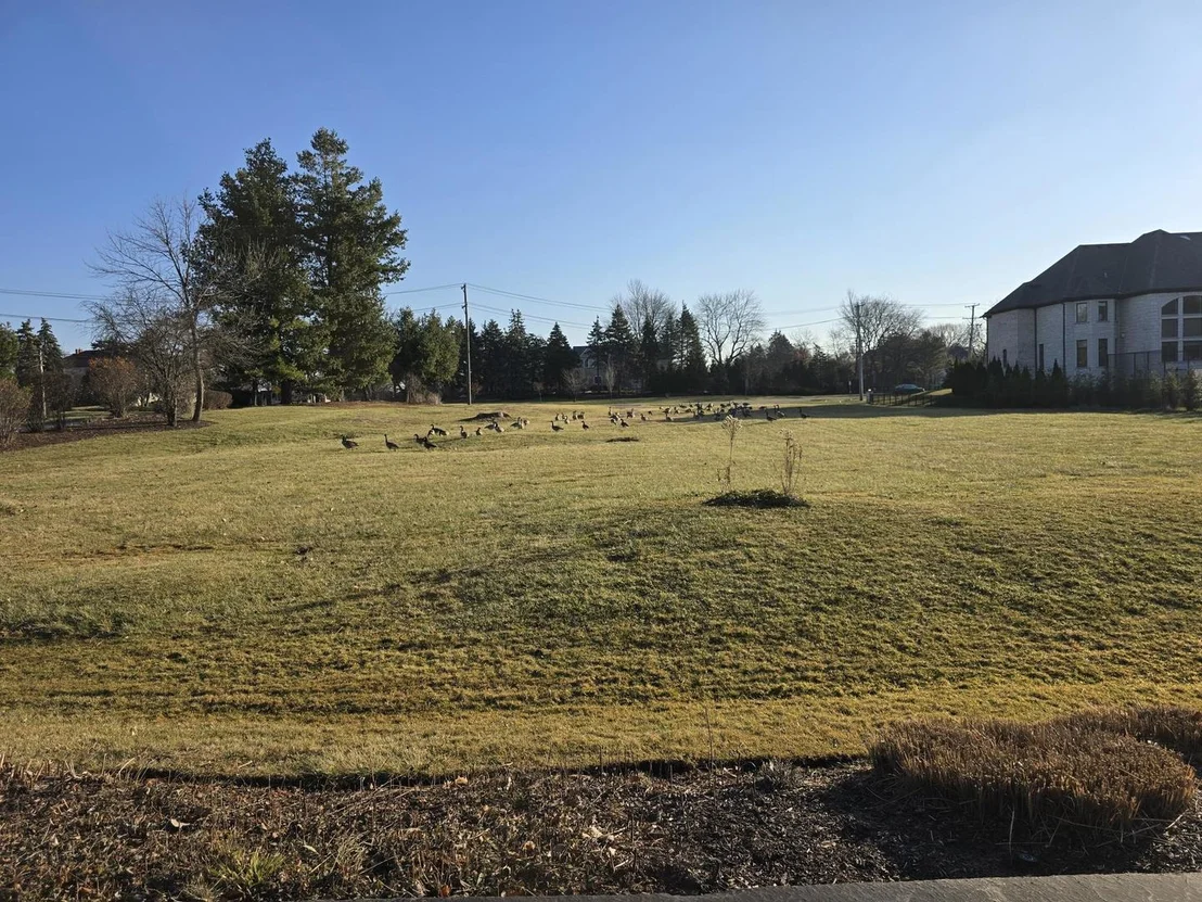 Photo of 3504 York Road