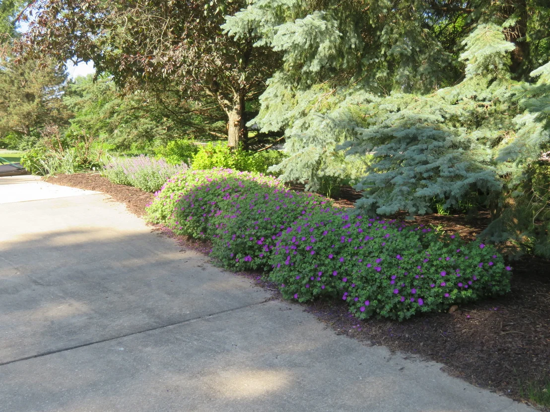 Photo of 295 W Grandin Road