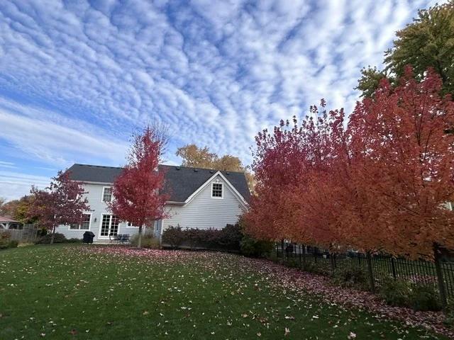 Photo of 608 CADILLAC Drive
