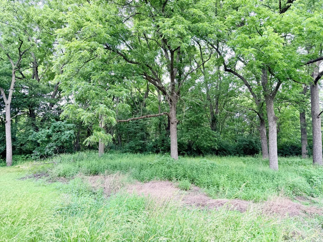 Photo of 26029 N 1100 E Road