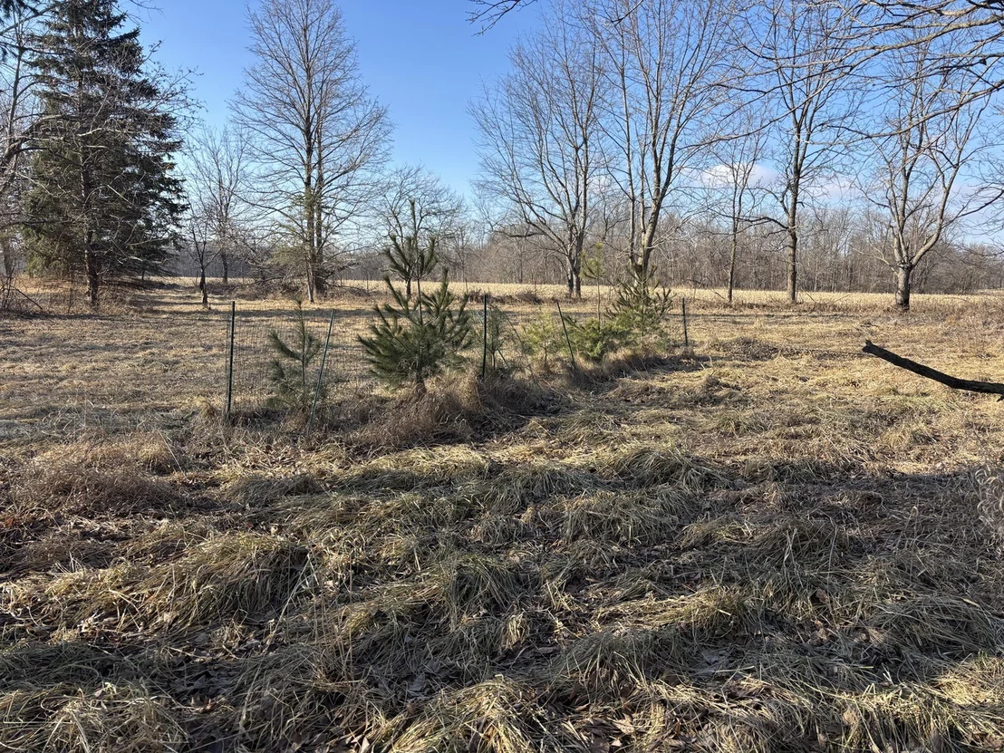 Photo of 735 Brookside Drive