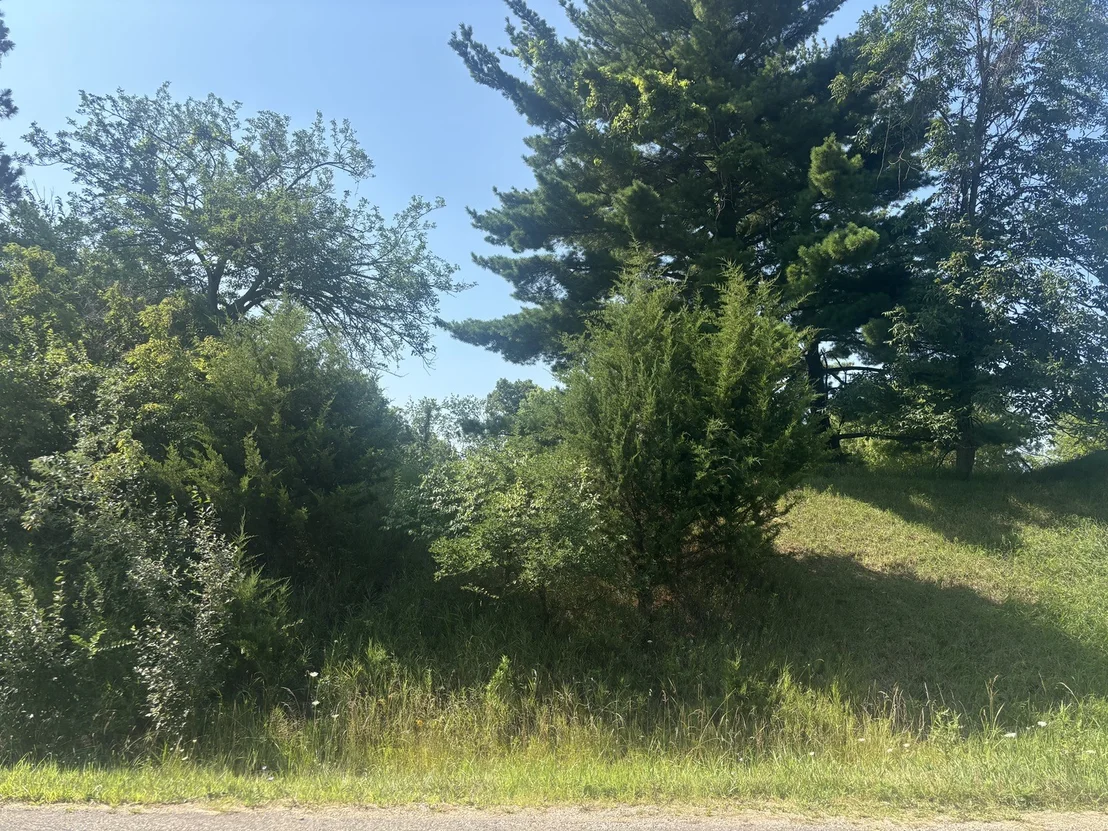 Photo of 1866 Tanglewood Drive