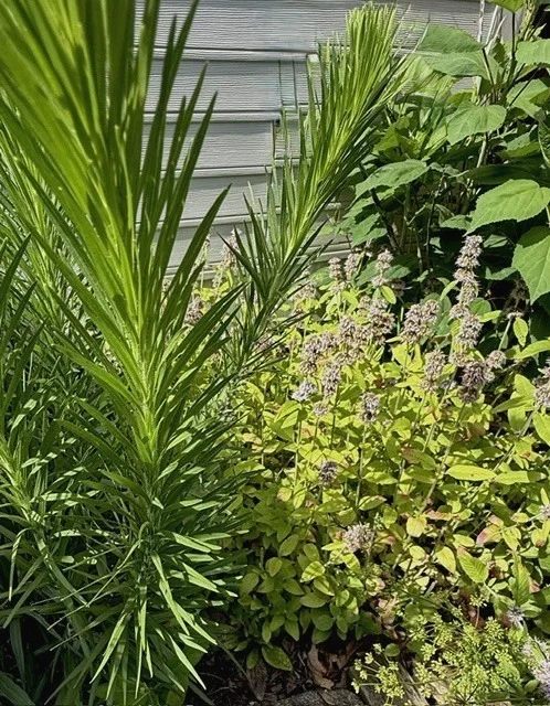 Photo of 2707 WORCESTER Drive