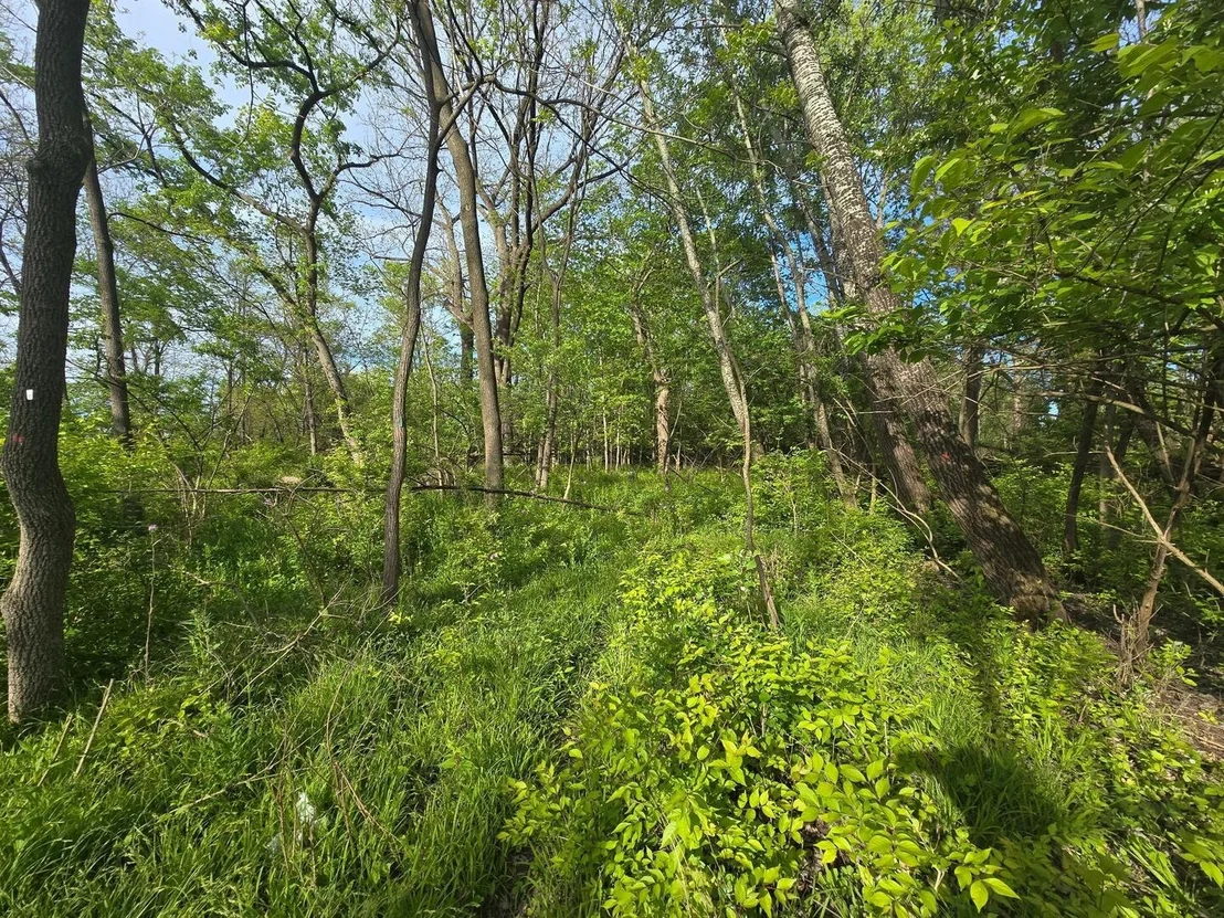 Photo of 108 Arrowhead Drive