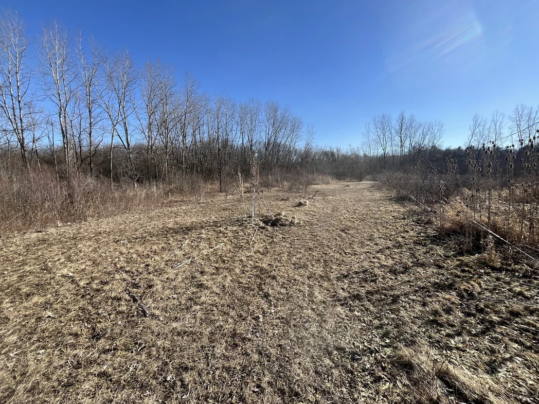 Photo of 39155 N Dilleys Road