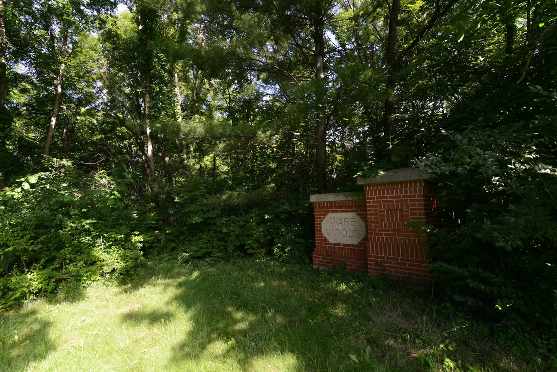 Photo of Lot 1 Ware Woods Drive