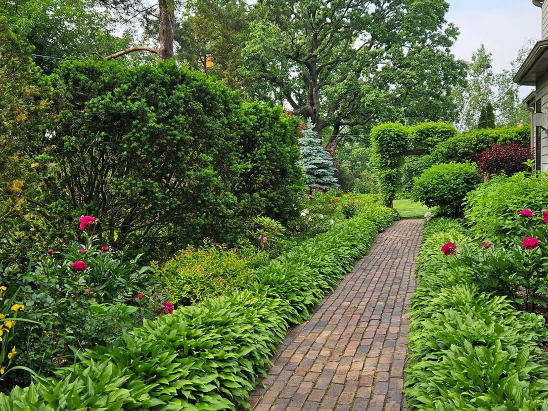 Photo of 38 Ferndale Road