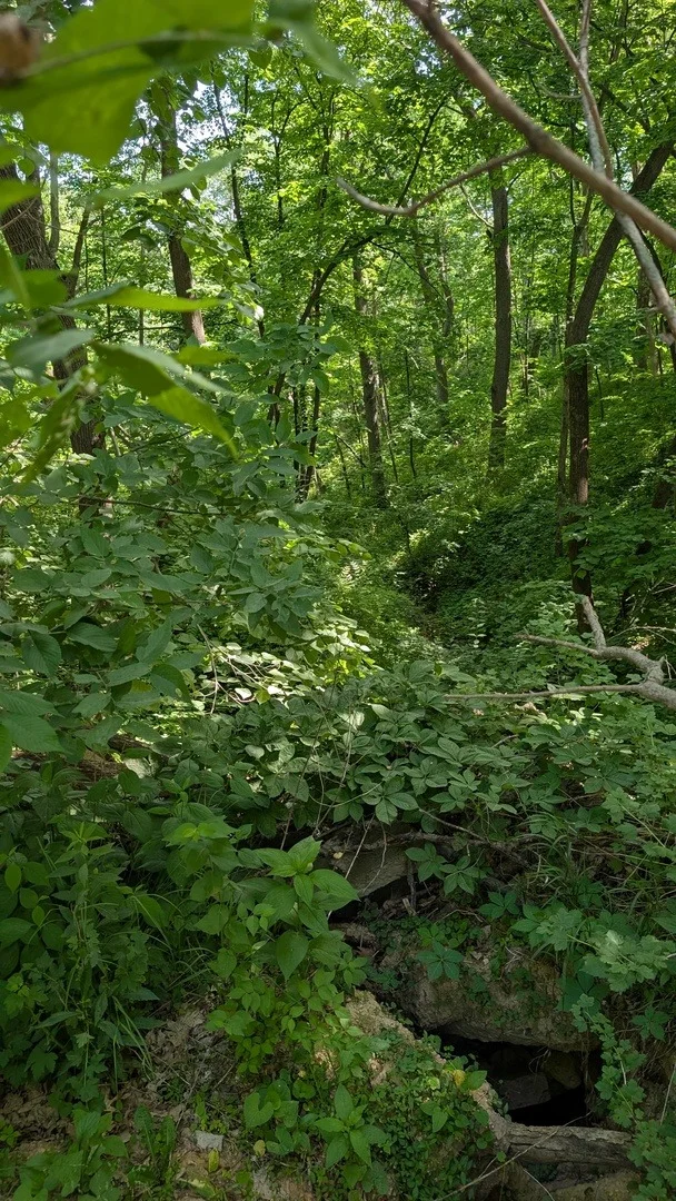 Photo of 3237 W Wilderness Road