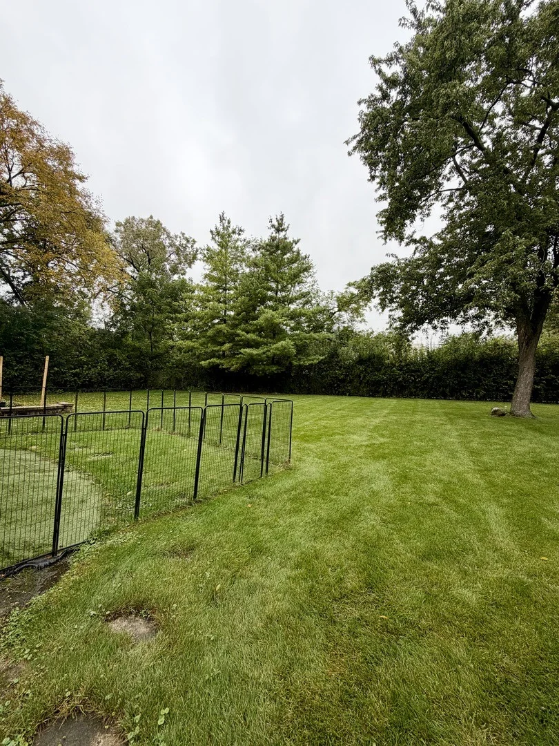 Photo of 232 Linden Road