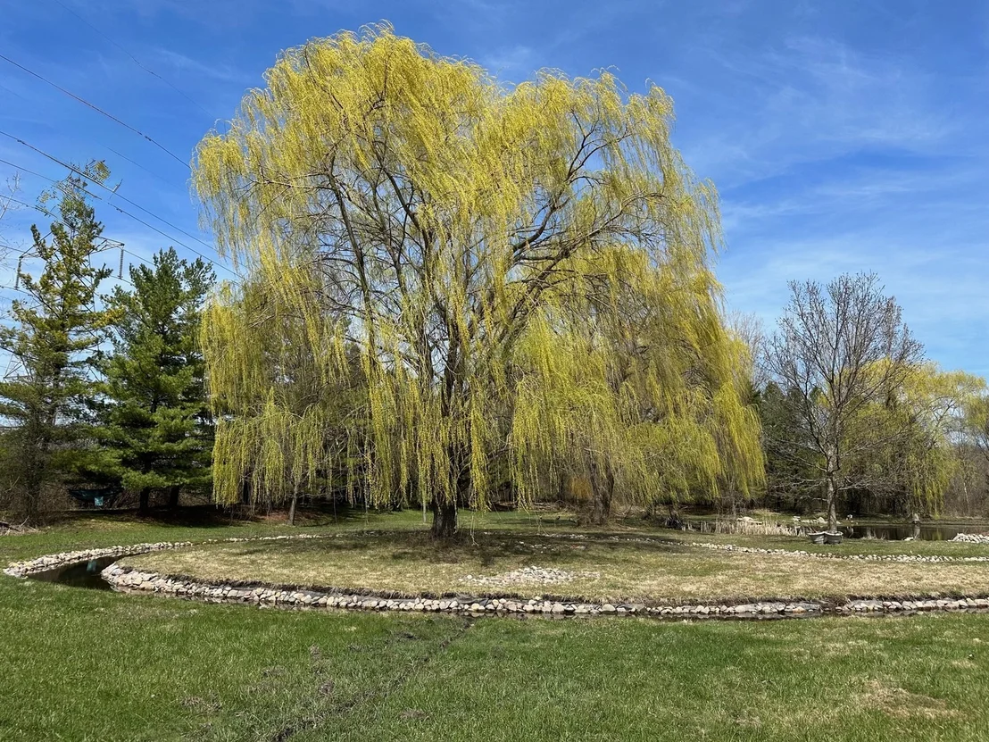 Photo of 3 Eagle Pointe Drive