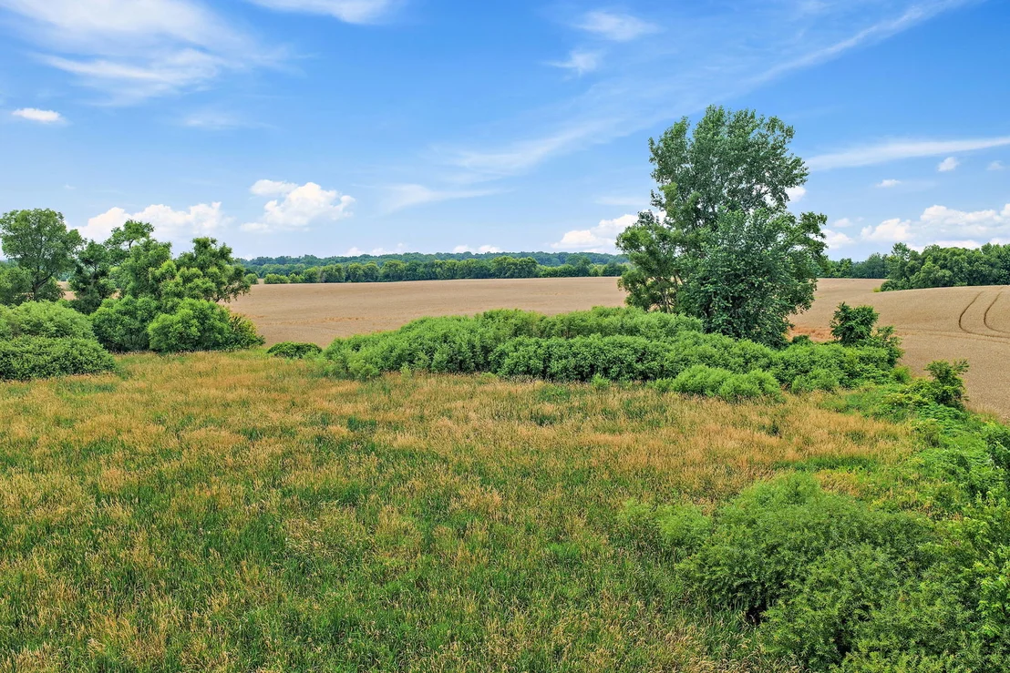 Photo of 1365 Pheasant Trail