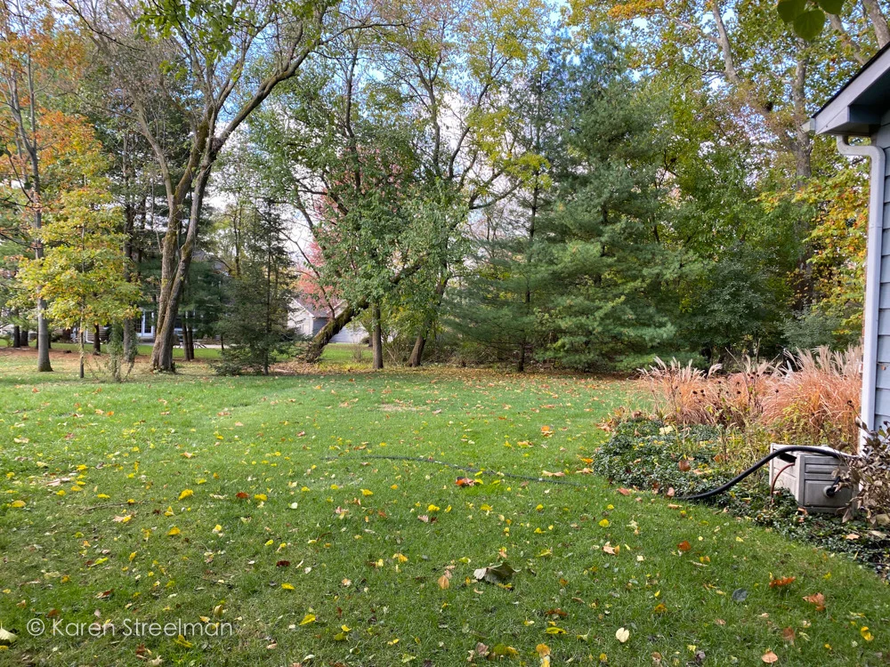 Photo of 12010 Mohican Drive